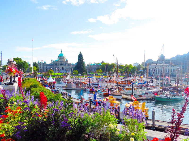 Janie Chandler Real Estate