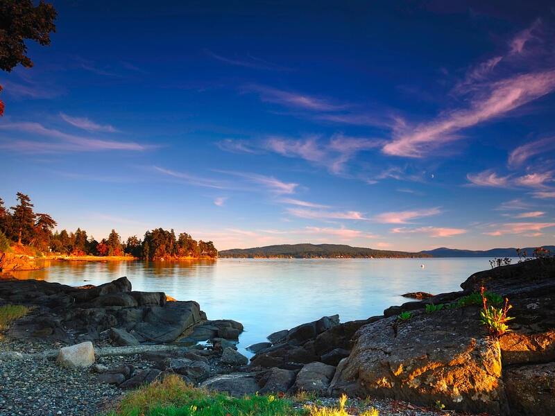 Janie Chandler Real Estate