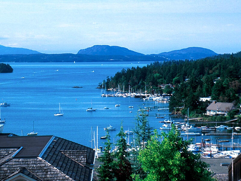 Janie Chandler Real Estate